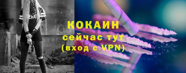 экстази Михайлов