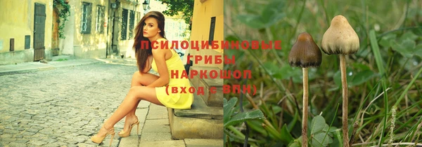 экстази Михайлов