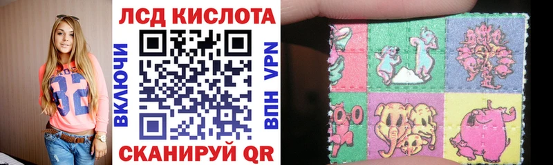закладки  Болгар  Марки 25I-NBOMe 1,5мг 