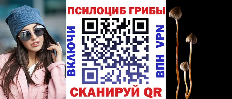 Галлюциногенные грибы Cubensis  Болгар 