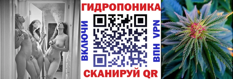 Конопля индика  где купить   Болгар 